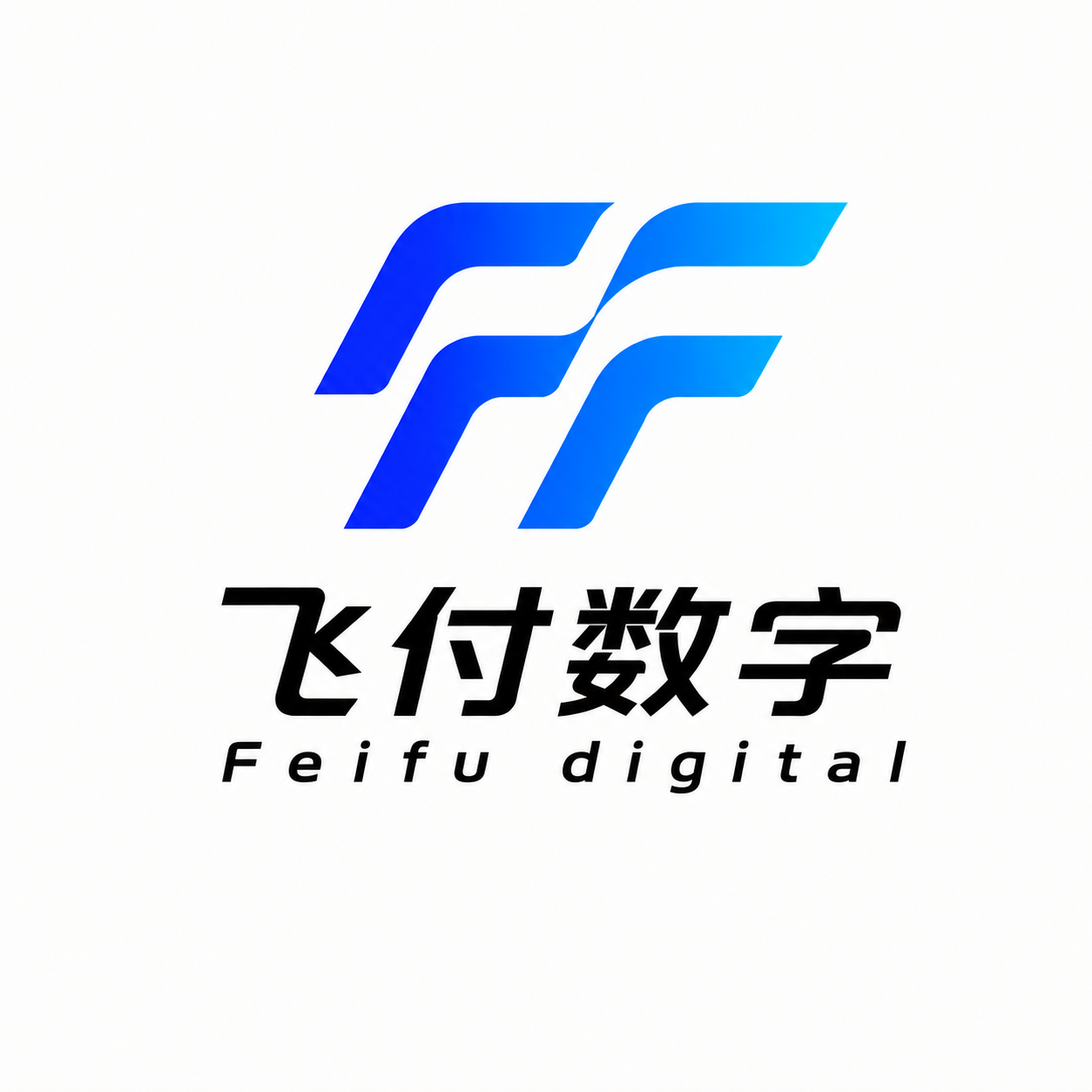广州飞付数字技术有限公司