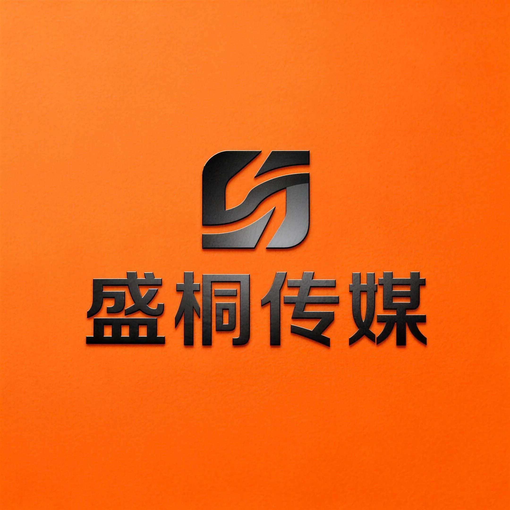 盛桐传媒