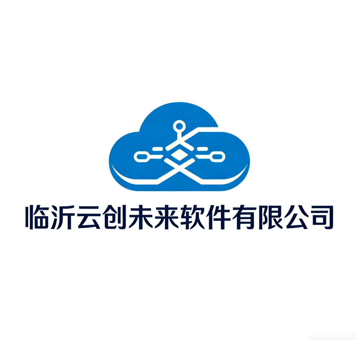 临沂云创未来软件