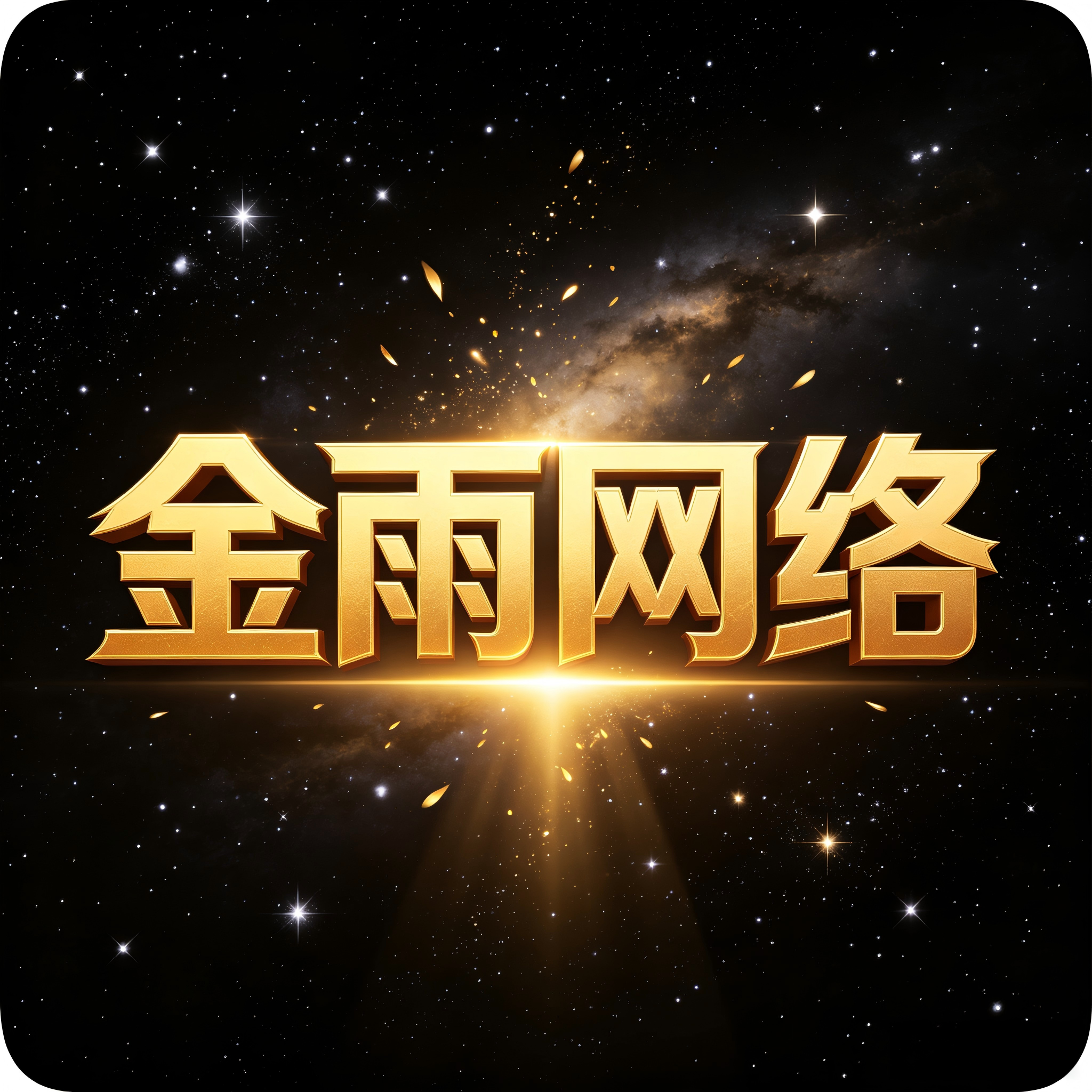 金雨网络