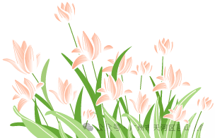 一次性肛门镜怎么检查关于肛门镜的“那些事”你想要了解的都在这！_https://www.jmylbn.com_新闻资讯_第28张