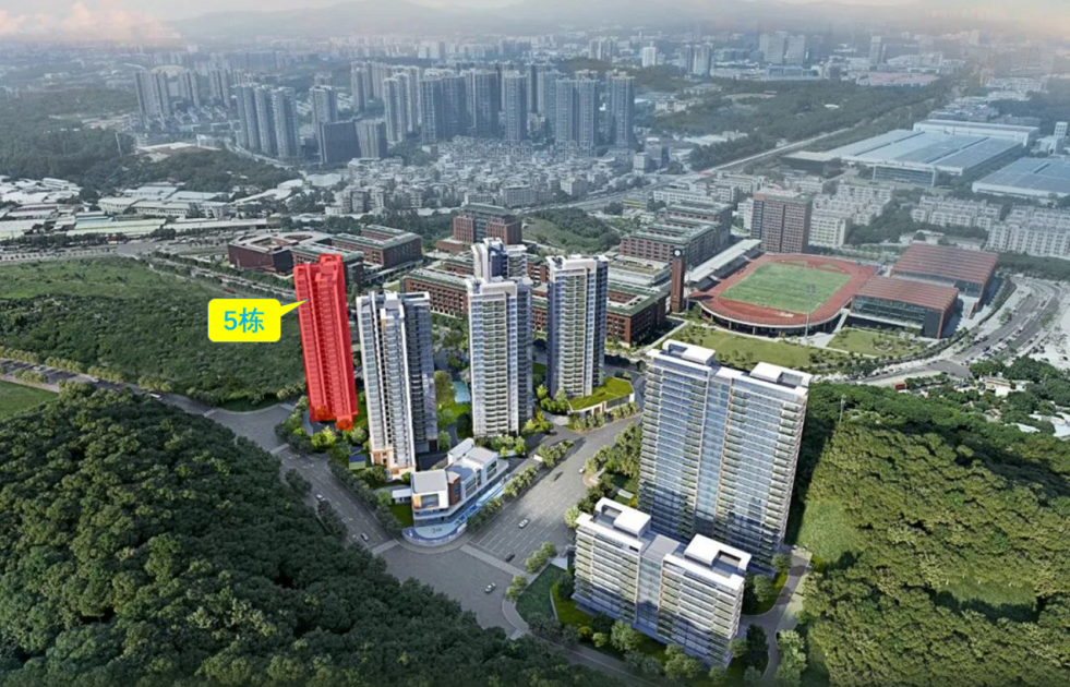 广州部分区域取消限购后，5个楼盘有新动作！