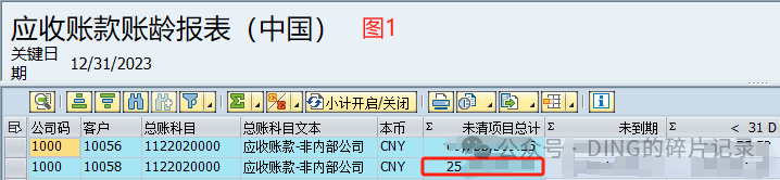 年结问题3_相同变式条件下 IDCNAR 应收账款账龄报表中国显示余额却不一样 S41709 - 封面图