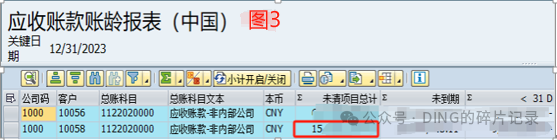 年结问题3_相同变式条件下 IDCNAR 应收账款账龄报表中国显示余额却不一样 S41709 - 封面图