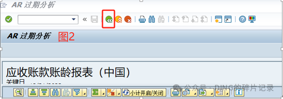 年结问题3_相同变式条件下 IDCNAR 应收账款账龄报表中国显示余额却不一样 S41709 - 封面图