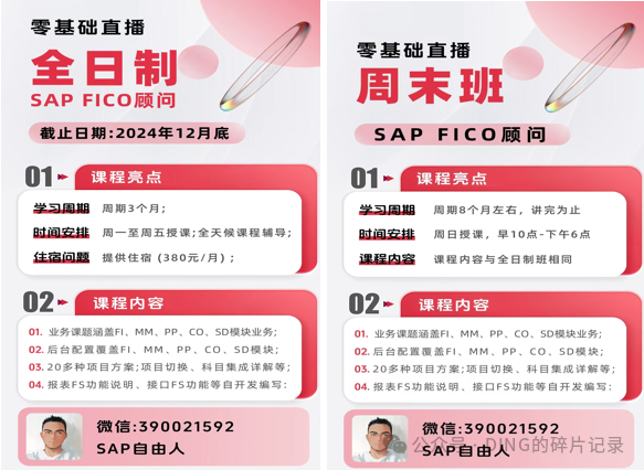 如何在 SAPMaterial Ledger Active 的情况下更改成本构成结构 - 封面图