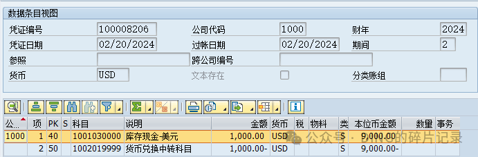 SAP 购汇业务_外币兑换外币 - 封面图