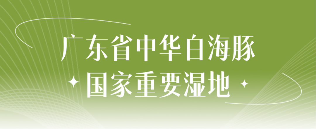 服饰箱包营销卖货直播横版贴片 (1).png