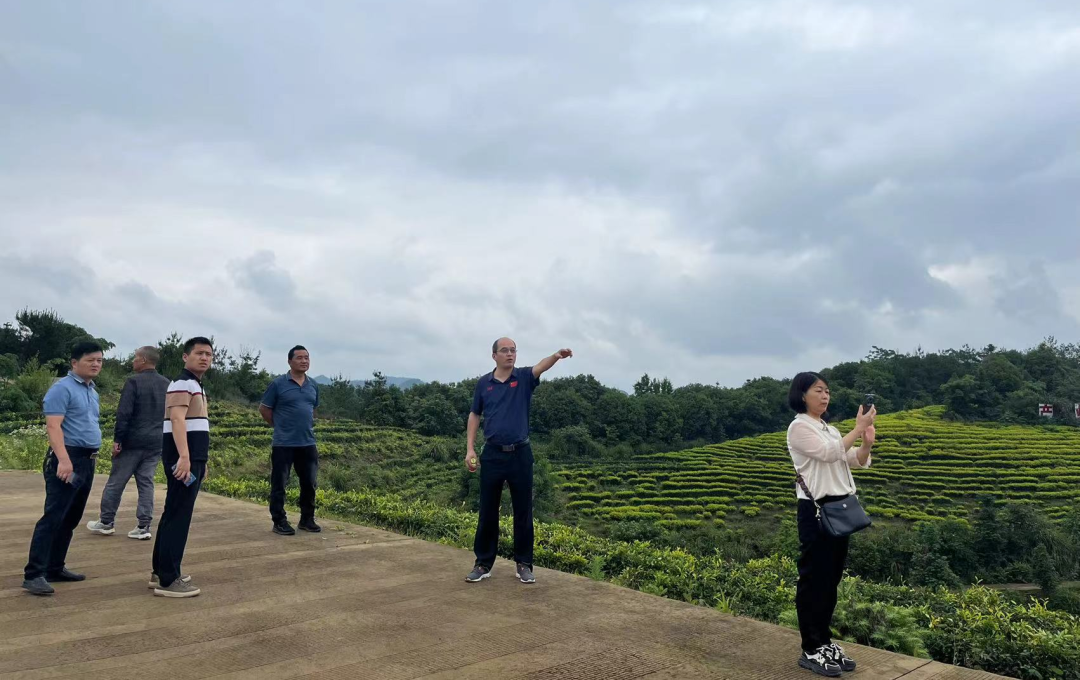 乡镇党委书记一周工作动态(6月1日至6月7日),都昌县人民政府,政务资讯