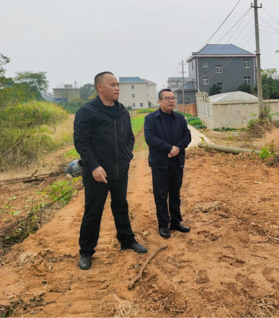 乡镇长一周工作动态11月11日至11月17日