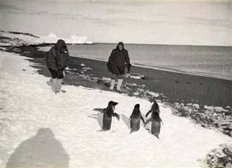 科一怎么胶卷南极挖出100多年前的老胶卷，科学家复原冲印后，记录的影像引起轰动_https://www.jmylbn.com_新闻资讯_第9张