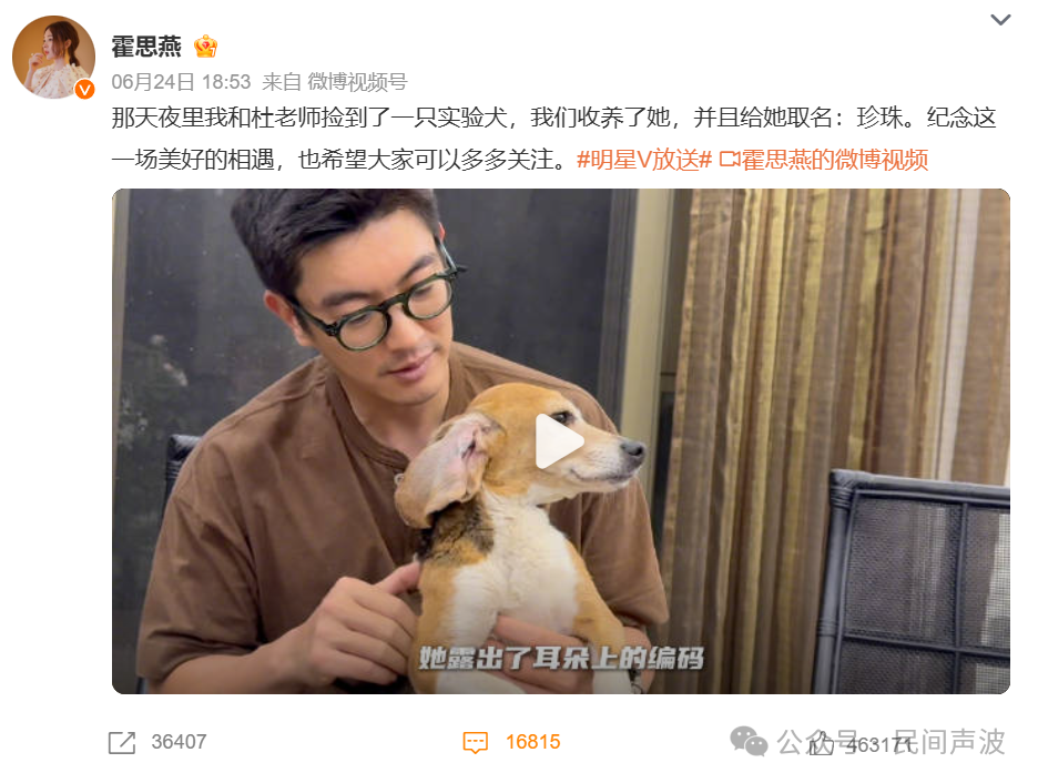 7吨实验犬当狗肉卖