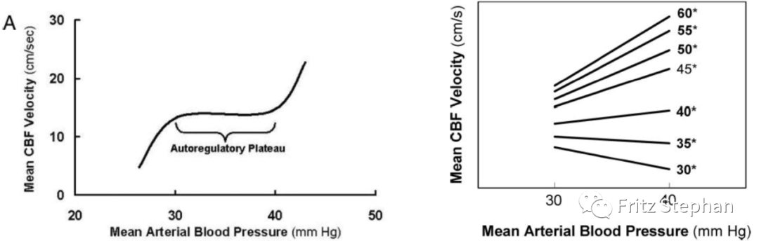 为什么带上呼吸机就鼻塞第十四章：低和极低体重儿的产房稳定和复苏--早产新生儿的胎儿-新生儿过渡期转换支持_https://www.jmylbn.com_新闻资讯_第3张