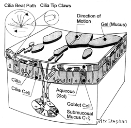 呼吸机湿化罐怎么加水第五章：CPAP和机械通气过程中呼吸气体的温湿化_https://www.jmylbn.com_新闻资讯_第1张
