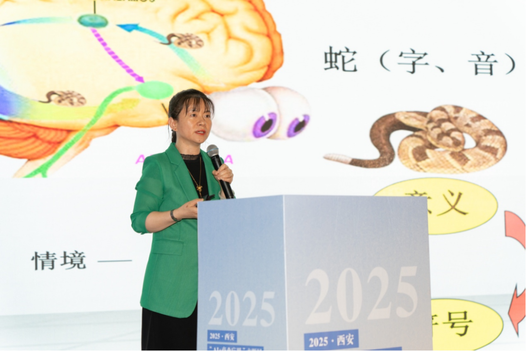 2025西安“AI +商业应用”主题展发布会暨AI中国发展联盟西安论坛成功举行