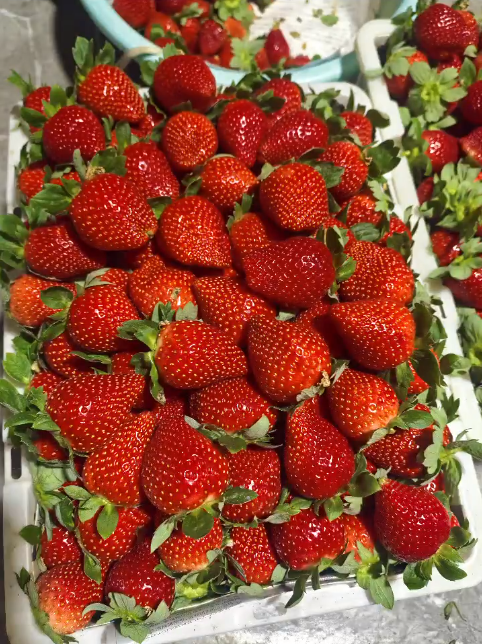 图源小红书@美好时光