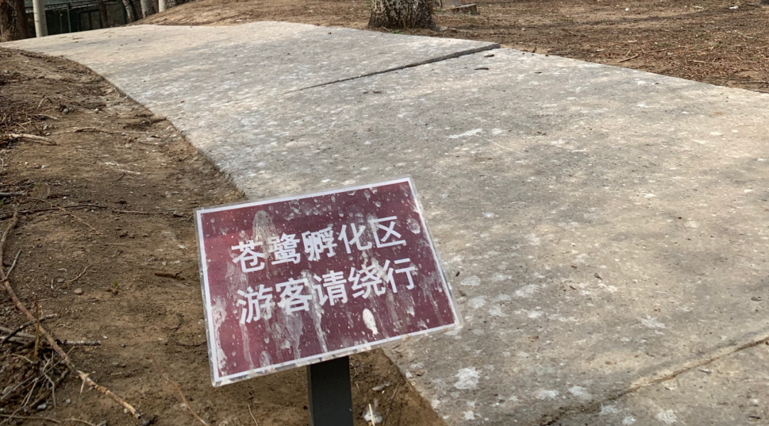 北京四环外的这片豪宅被年轻人逛疯了