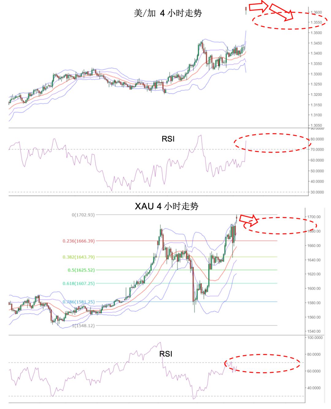MBG MarketsDaily News（2020-3-9）459 / author:Waiting for the wind to come / PostsID:1537028