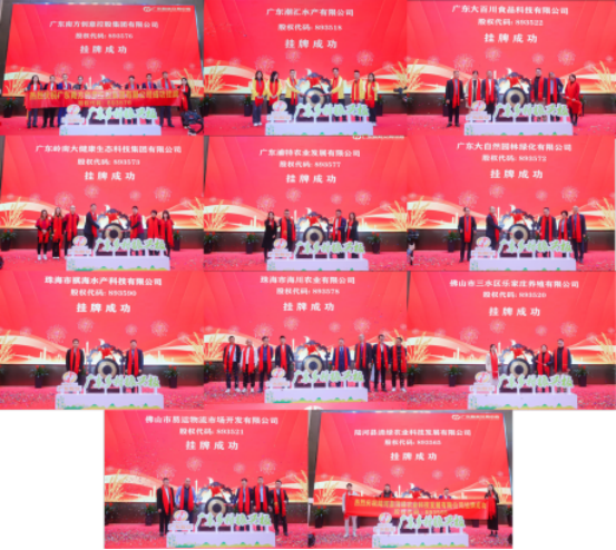 广东乡村振兴板挂牌仪式暨金融支持百千万高质量发展风补金赋能县域产业融资对接会成功举办，点亮金融支农“灯塔”