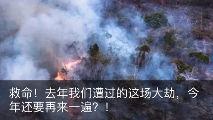 她，31歲，11個親生孩子！近10年都在懷孕中度過... 親子 第18張