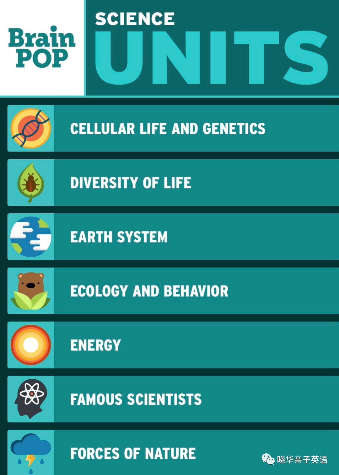 播放量上亿，1000+视频，关键还免费