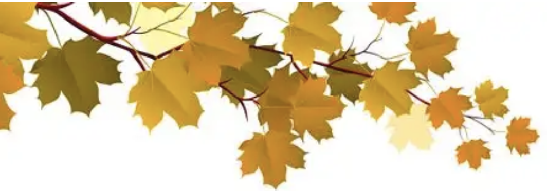 秋季掉发变多的原因，你中招了吗