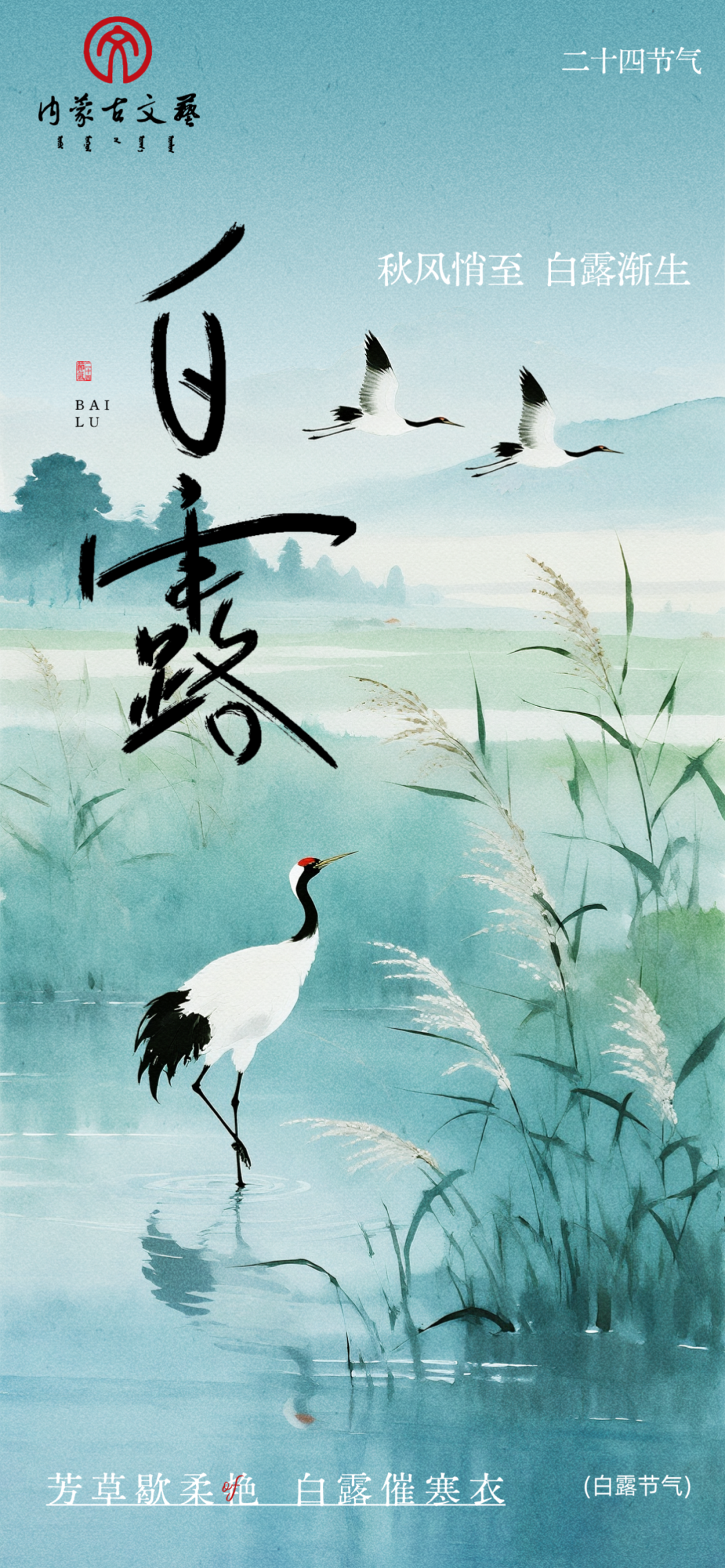 今日白露：露凝草木，秋意渐浓 第1张