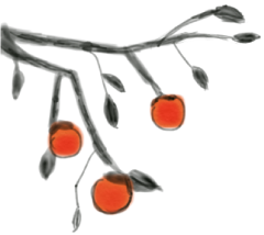 今日小寒：霜凝草木，冬安岁婉 第1张