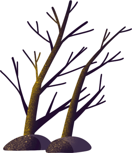 今日小寒：霜凝草木，冬安岁婉 第7张