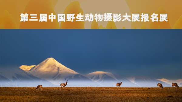 近期征稿合集来啦！ 第10张