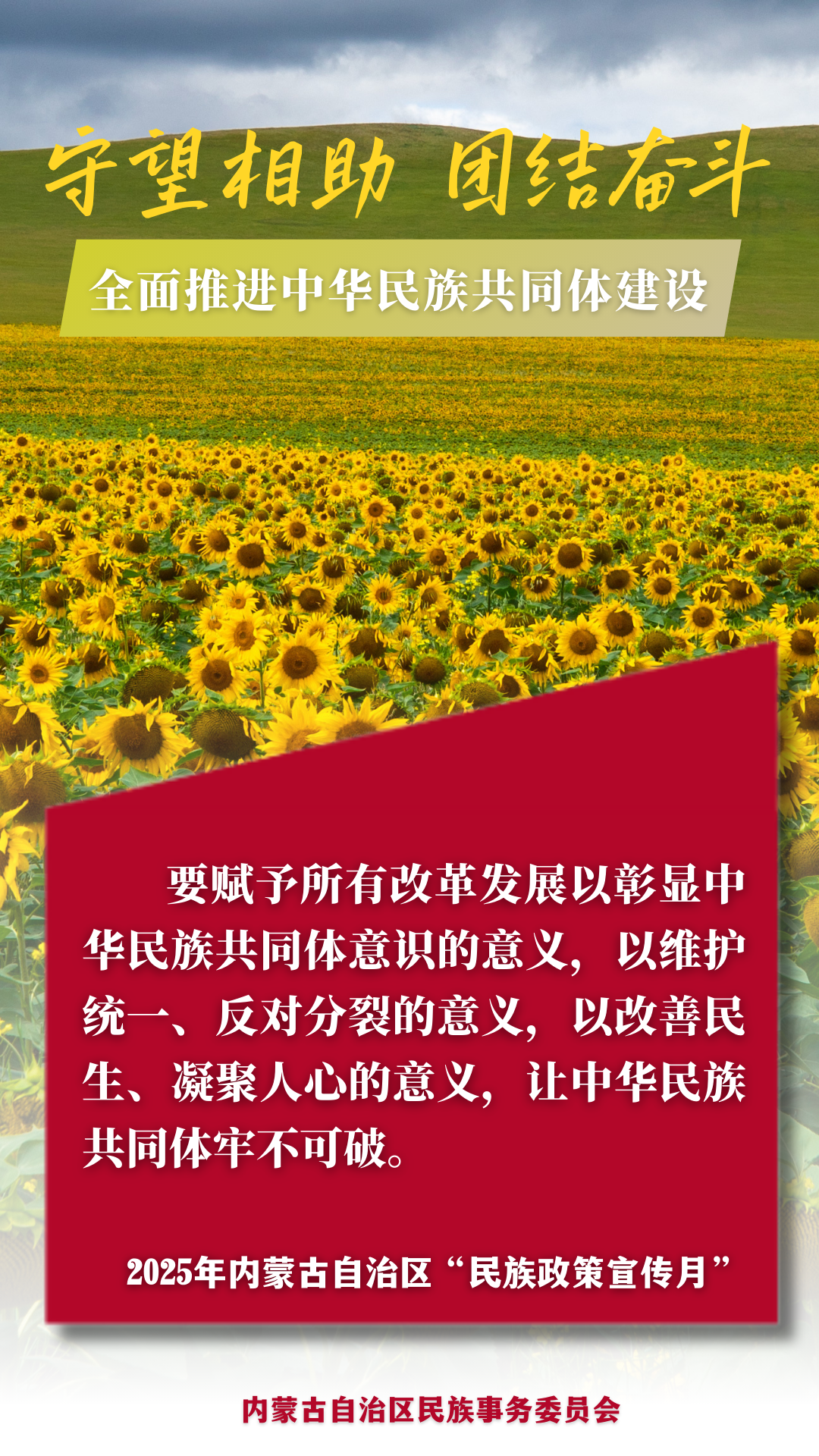 【民族政策宣传月】@所有人 2025年内蒙古自治区“民族政策宣传月”海报来了 ！ 第12张
