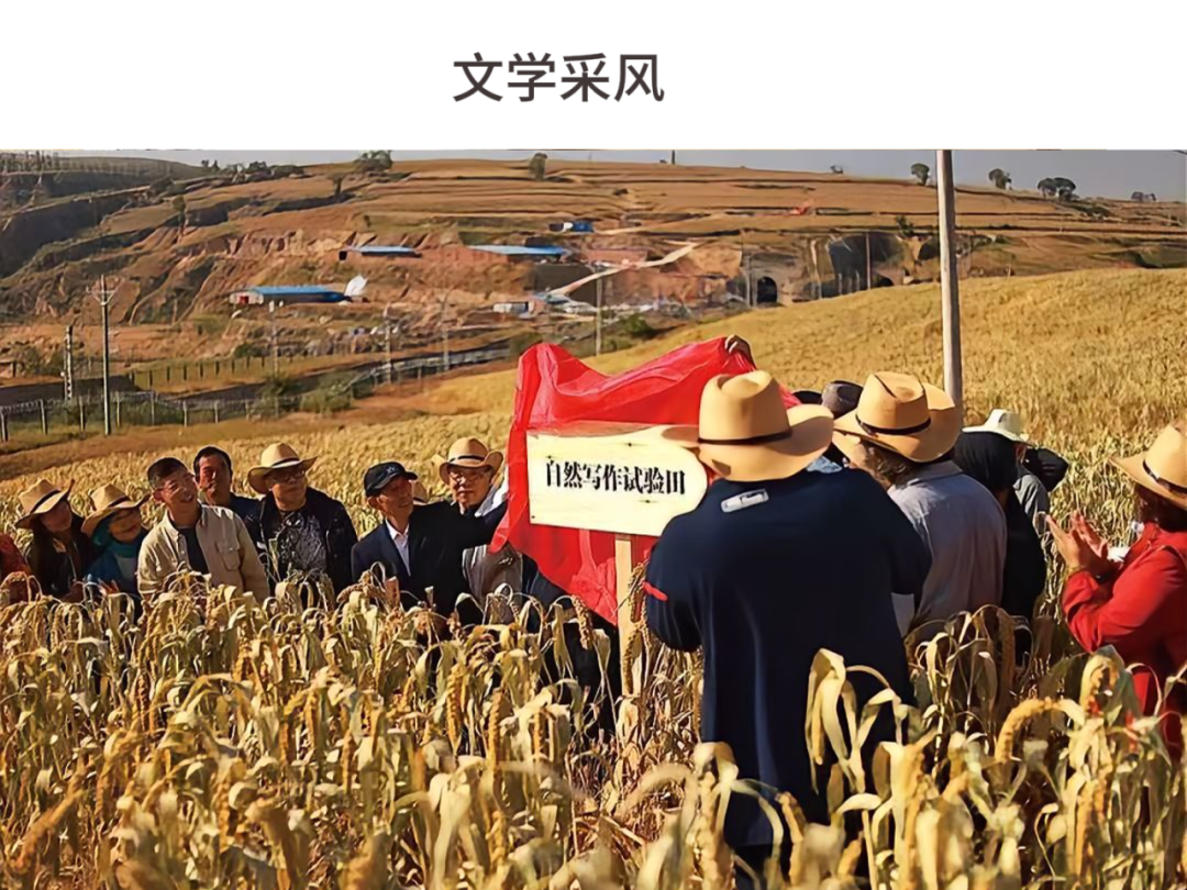 2025，我们一起走过 第18张