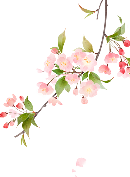 今日小暑：风动荷生香 暑气渐盈窗 第19张