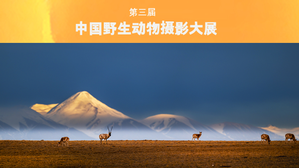 近期征稿合集来啦！ 第7张