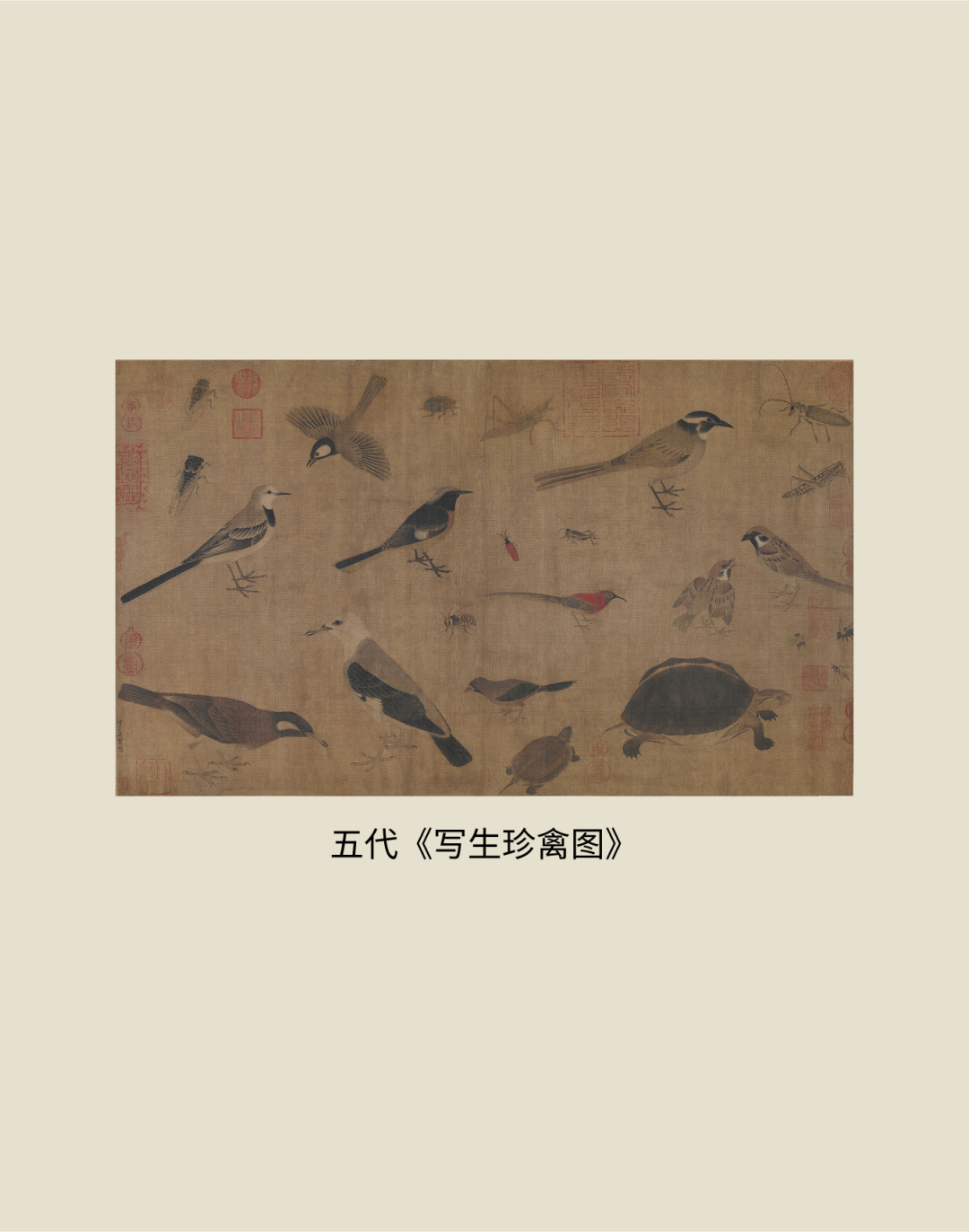 展讯丨循脉——中国画教育“课徒稿”文献展：内蒙古站（国家艺术基金2025年度传播交流推广资助项目） 第16张