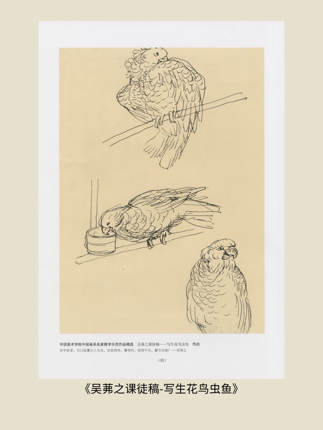 展讯丨循脉——中国画教育“课徒稿”文献展：内蒙古站（国家艺术基金2025年度传播交流推广资助项目） 第53张