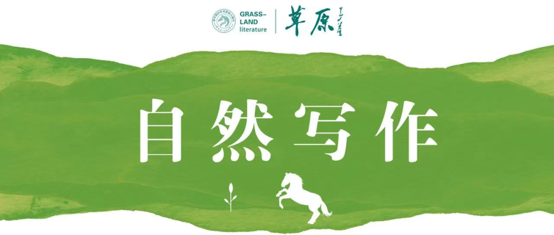 《草原》杂志邀名家探讨自然生态文学写作的可能性 第5张