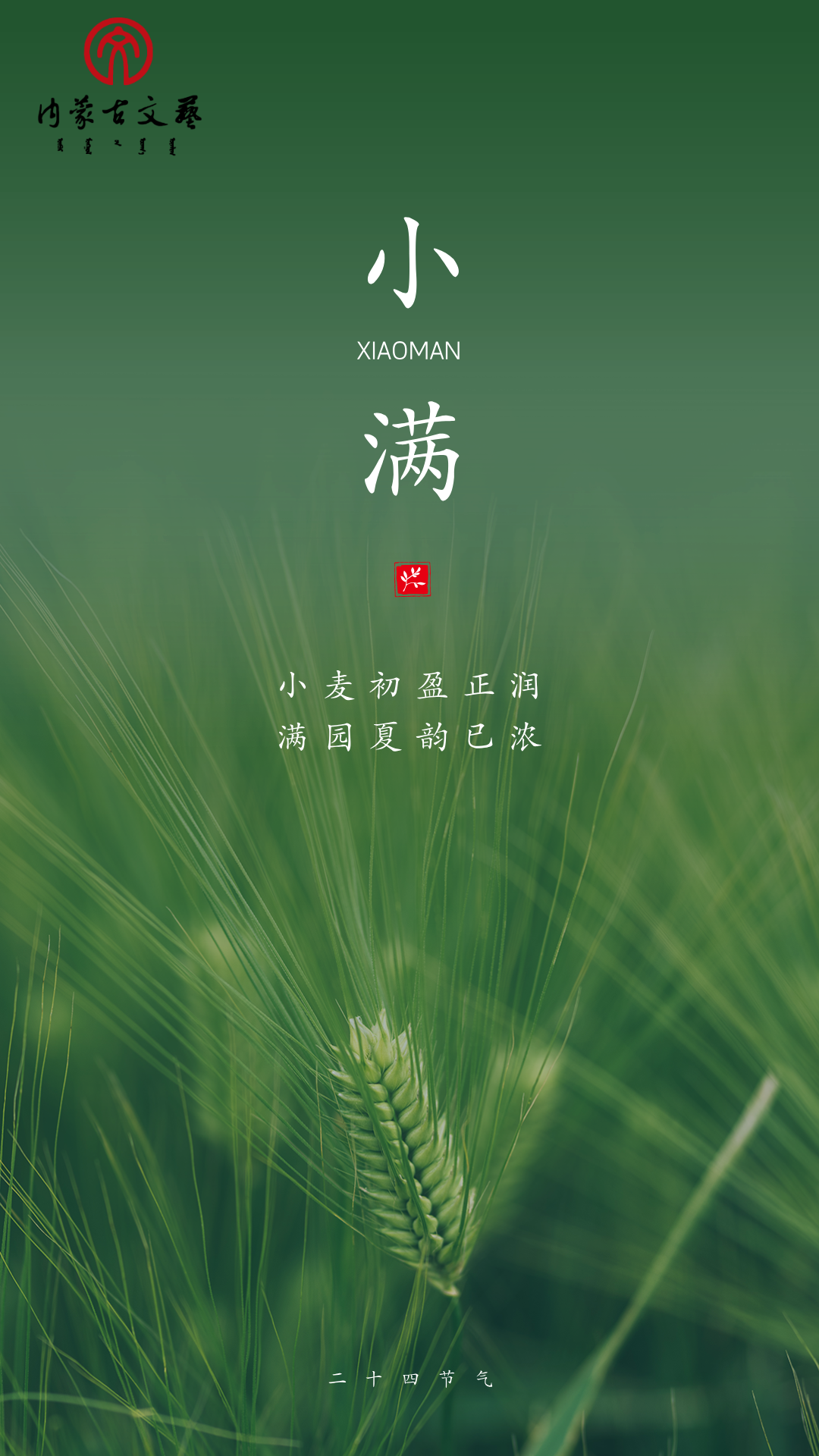 今日小满：夏意初盈，人生恰满 第15张