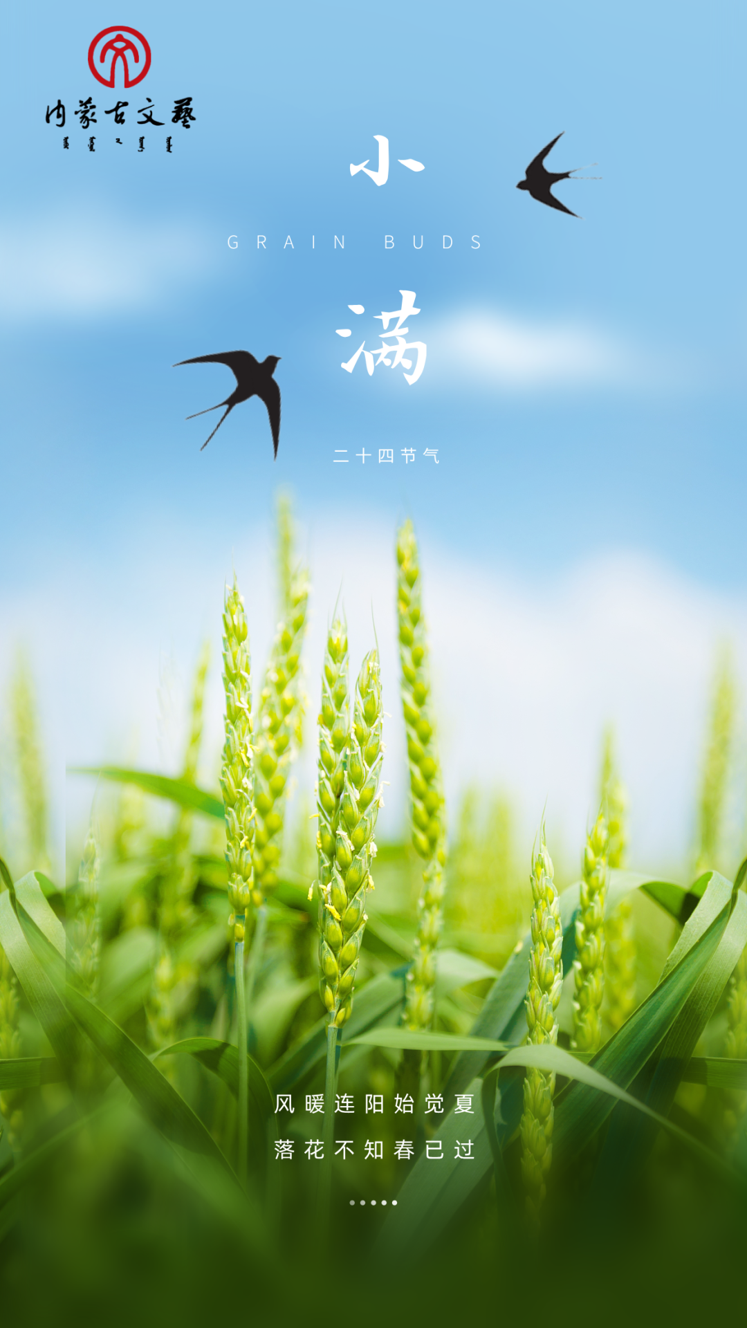 今日小满：夏意初盈，人生恰满 第2张