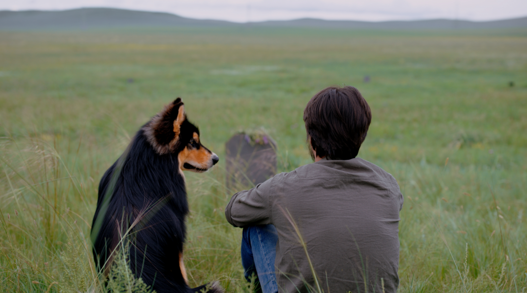 内蒙古三部电影入围金鸡百花电影节“多彩中华”民族题材电影展 第9张