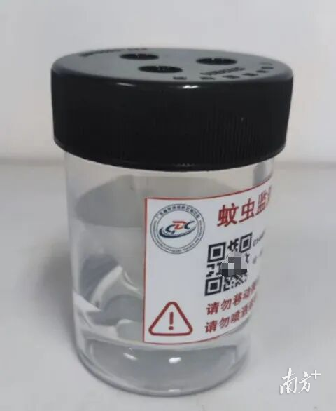 1  南方+ 许舒智 拍摄