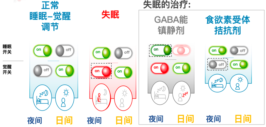 失眠治疗新选择：达利雷生真实疗效如何？用法用量、注意事项解答(图3)