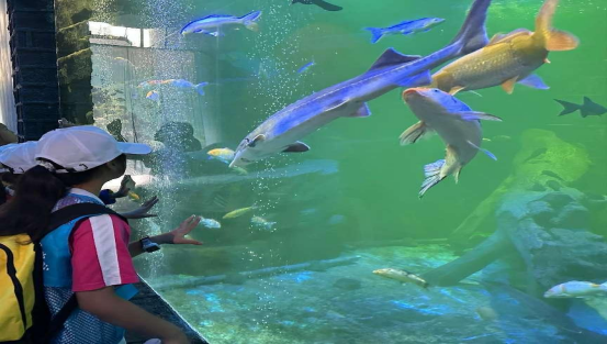 铜仁市开展“茅台王子·致敬奋斗”——贵州希望工程升级版“壮苗计划”研学活动