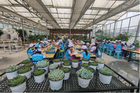 铜仁市开展“茅台王子·致敬奋斗”——贵州希望工程升级版“壮苗计划”研学活动