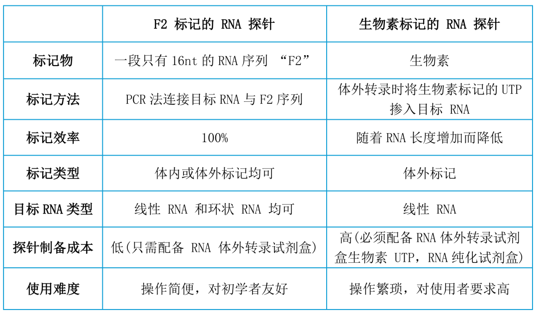F2标记的RNA探针与生物素标记的RNA探针对比图-辉骏生物客户发表IF>10RNA pulldown文献