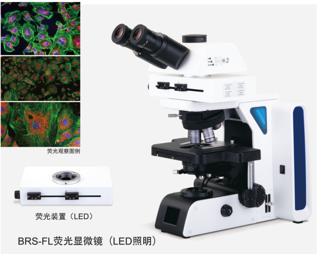 奥特光学怎么样展商推荐 ｜ 重庆奥特光学仪器有限责任公司邀您3月底相约 CISILE2025_https://www.jmylbn.com_新闻资讯_第4张