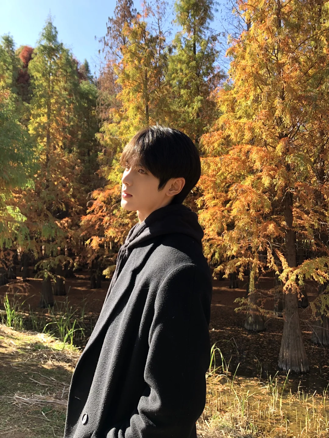 帅气深夜男主播，又是一张明星脸