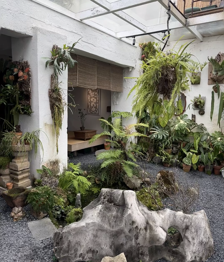 来源：小红书@爱吃怕胖