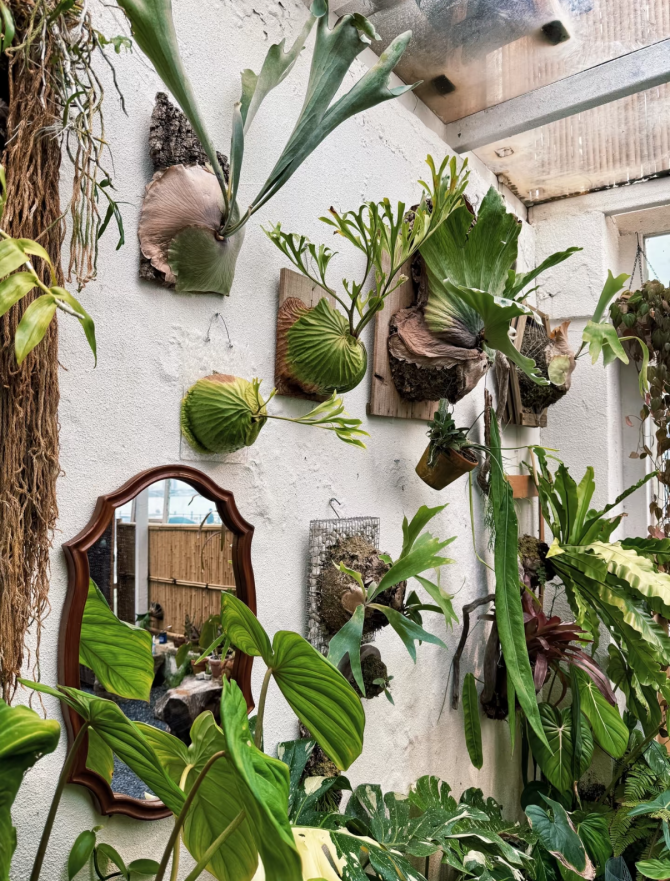 来源：小红书@什么都不知道