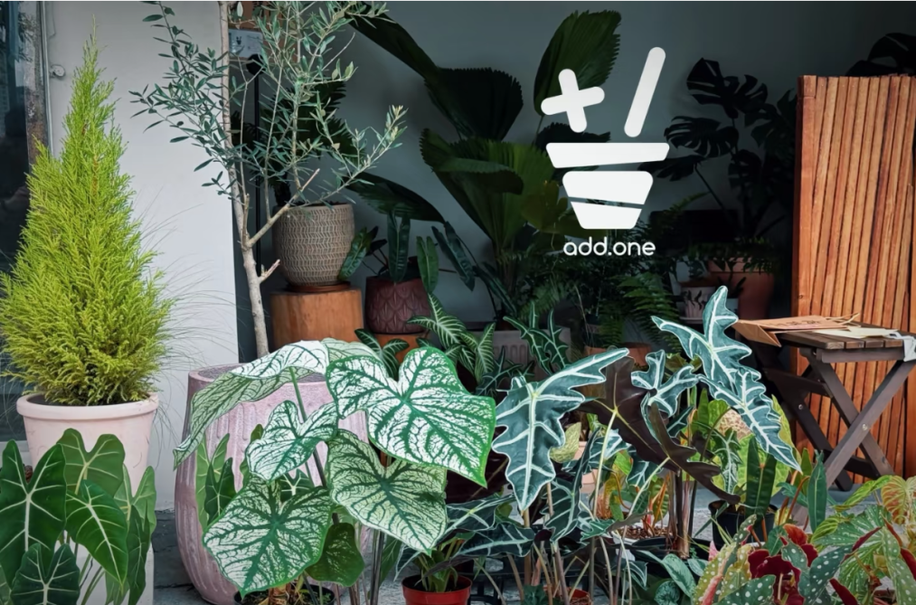 来源：小红书@+1add one